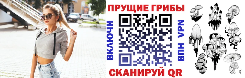 где можно купить   Поронайск  маркетплейс формула  Галлюциногенные грибы мухоморы 